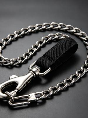 Heavy Metal Chain Dog Leash Chew Proof Anti-Bite Lead for Strong Dogs