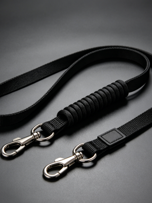 Bungee Shock Absorbing Dual Dog Leash 2 Ways No Tangle Walking Rope
